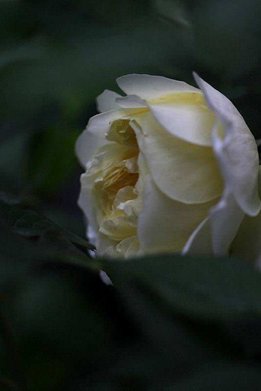 b0165522_7524077.jpg