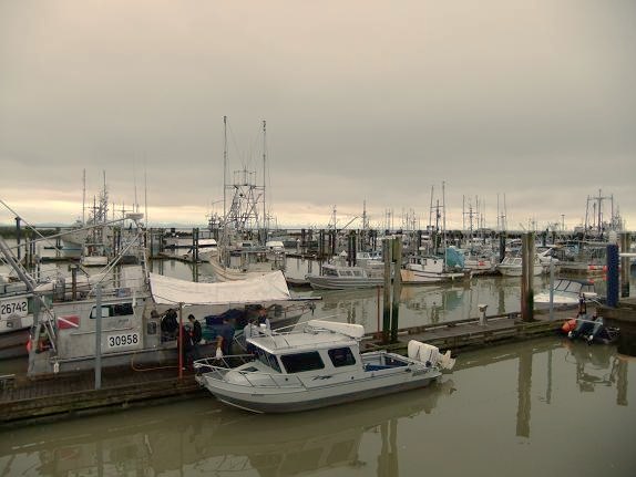 f0111926_5103260.jpg