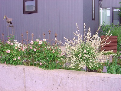 f0205733_21211987.jpg