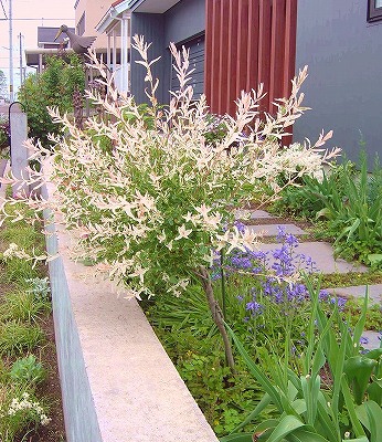 f0205733_21212859.jpg