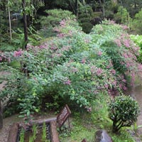 d0033734_1942259.jpg