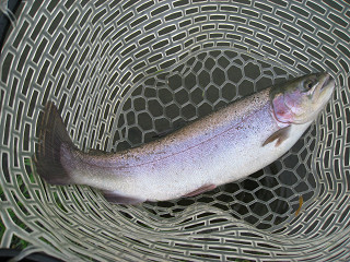f0065341_18165413.jpg