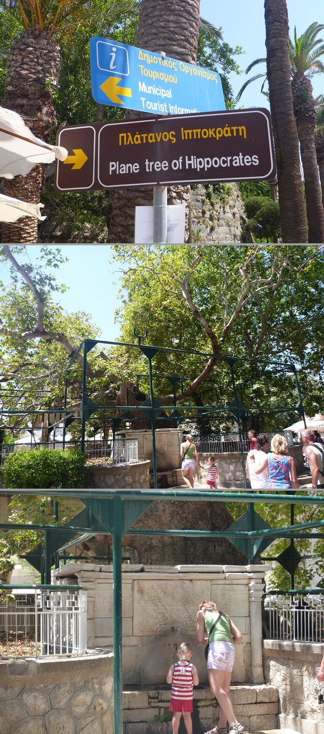 e0210347_3425961.jpg