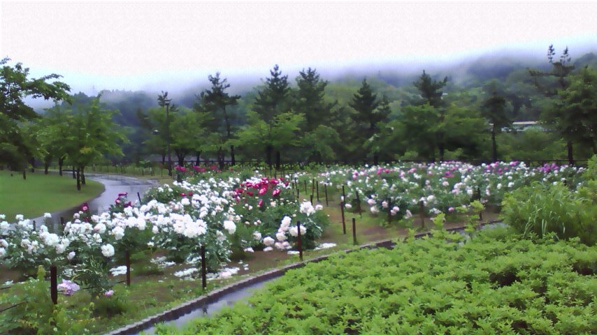 d0232151_1513475.jpg