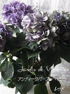 e0118257_16152625.jpg