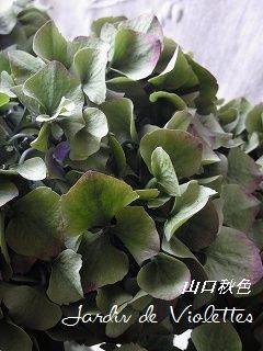 e0118257_16172813.jpg