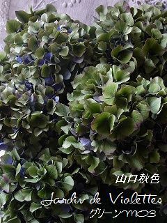 e0118257_1617321.jpg