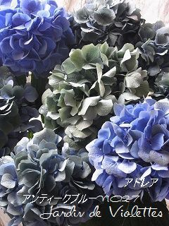 e0118257_16174919.jpg