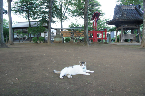 b0059860_14755100.jpg