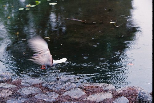f0213960_2259145.jpg