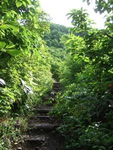 c0011862_17451858.jpg