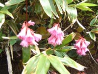 c0011862_17455992.jpg