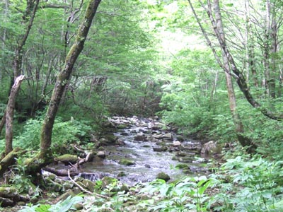 c0011862_175622100.jpg