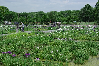 f0106664_7122561.jpg