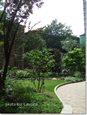 e0142170_2361141.jpg