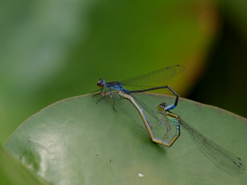 b0108186_17424830.jpg
