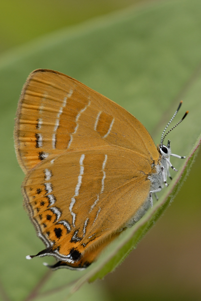 b0194593_2282534.jpg