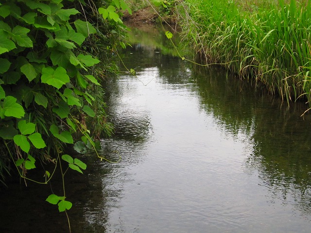 e0202393_725369.jpg