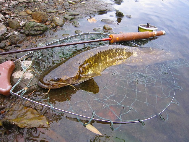 e0202393_7311032.jpg