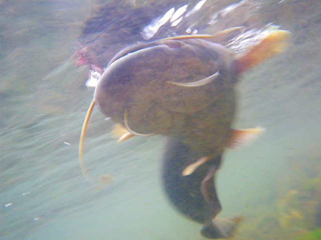 e0202393_733140.jpg