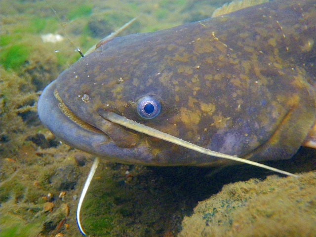 e0202393_77678.jpg