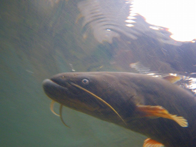e0202393_783094.jpg