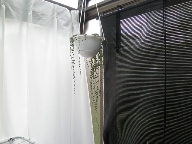 f0130894_21344057.jpg