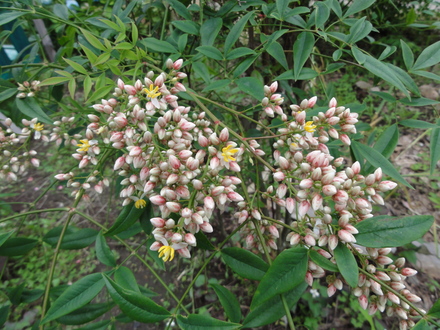 f0209394_016210.jpg