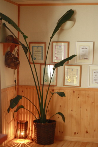 c0190900_622326.jpg
