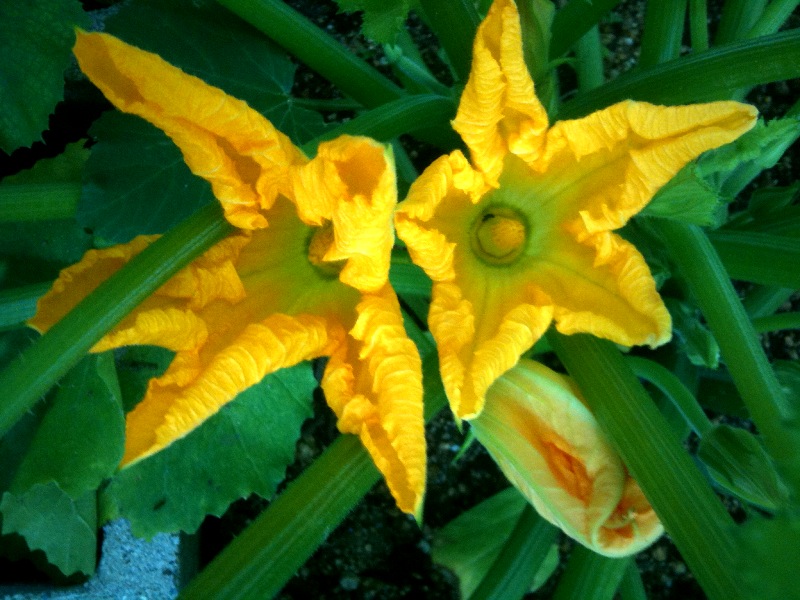 a0045001_16193056.jpg