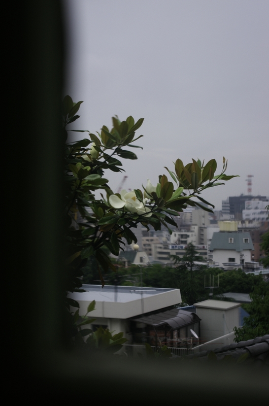 b0138101_22524358.jpg