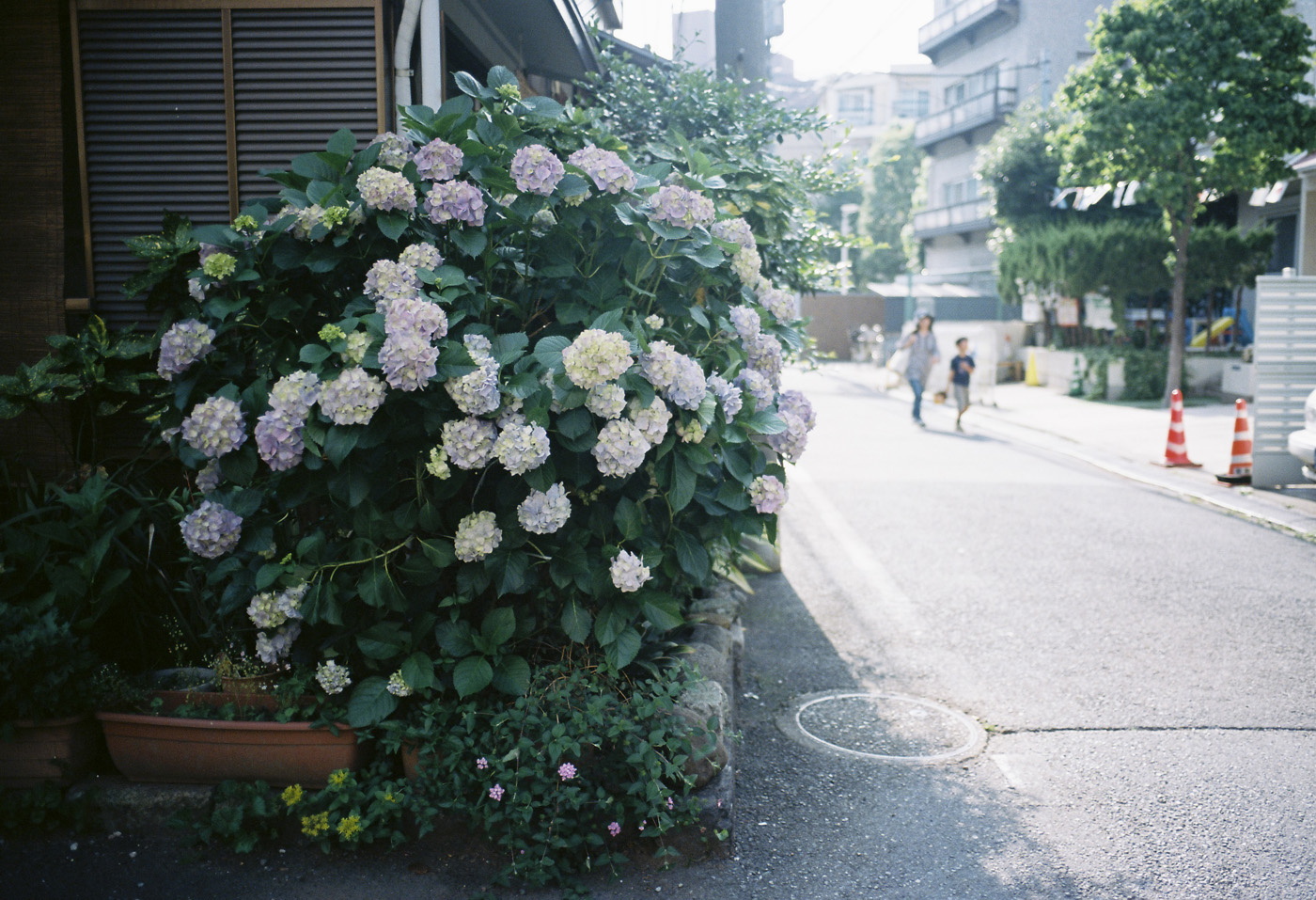 c0120903_324754.jpg
