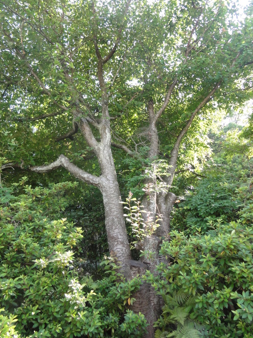 a0199304_23444841.jpg