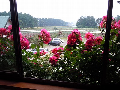 c0117007_23471287.jpg