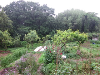f0144707_201418.jpg