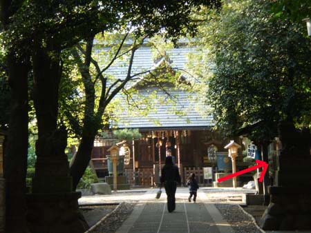 e0103408_114347.jpg