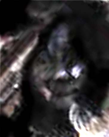 e0103408_17504879.jpg