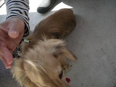 c0190010_2042818.jpg