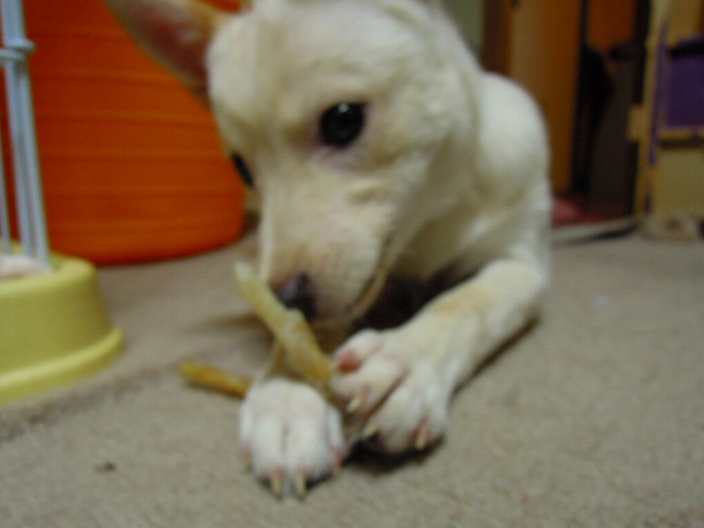 f0218911_1551868.jpg