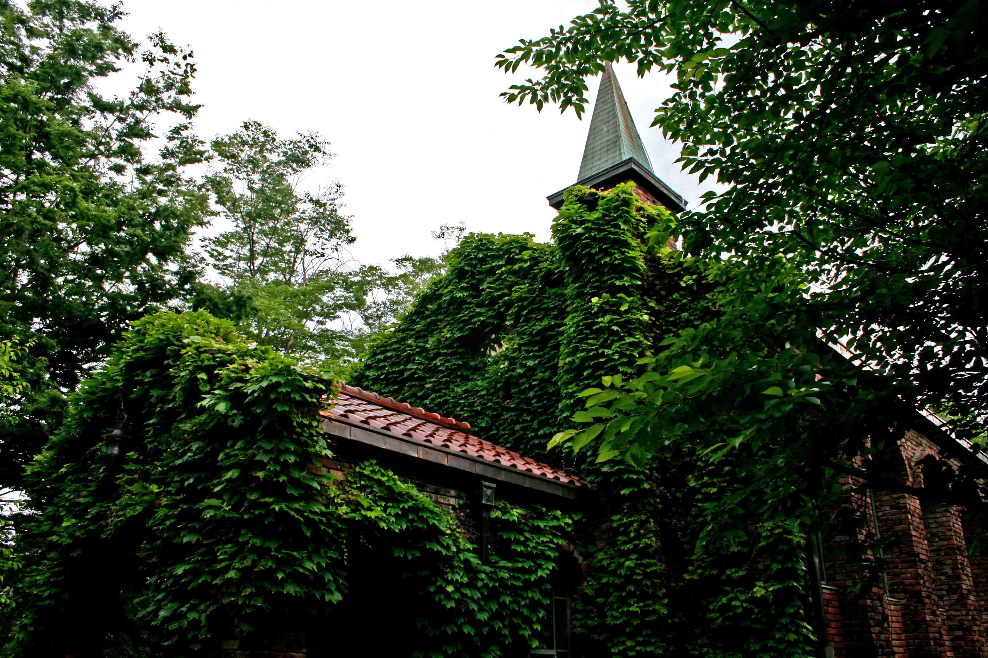 f0107517_804225.jpg