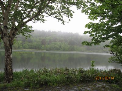 c0094218_23441471.jpg