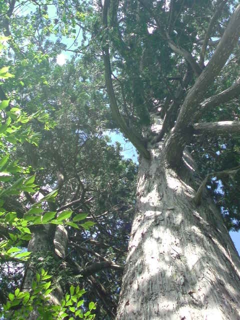 c0213619_062573.jpg