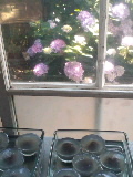 e0112619_1545683.jpg