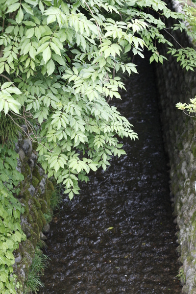 e0123322_202535100.jpg