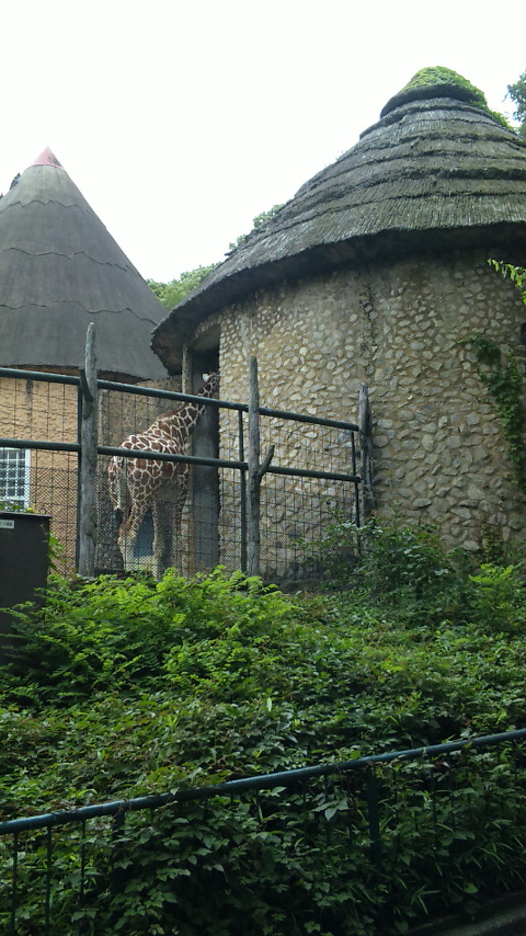 d0141924_813772.jpg