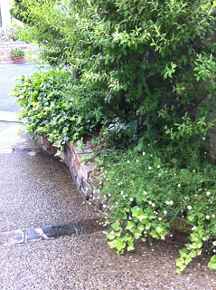 e0094325_21535433.jpg