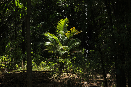 d0042827_0451843.jpg