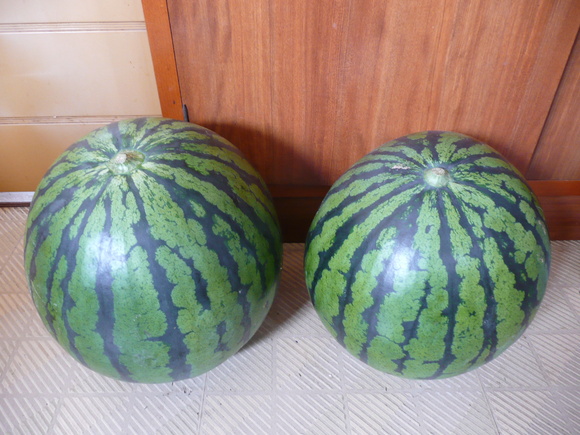 c0009528_23245380.jpg