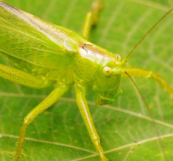 a0126632_12502269.jpg