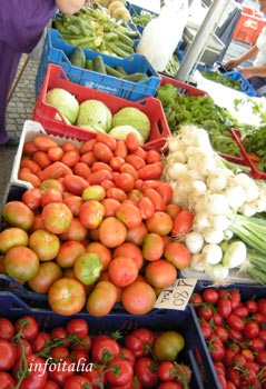 c0077533_027084.jpg